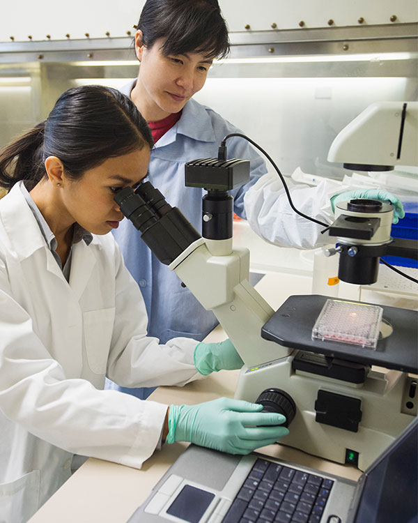 Scientists using a microscope