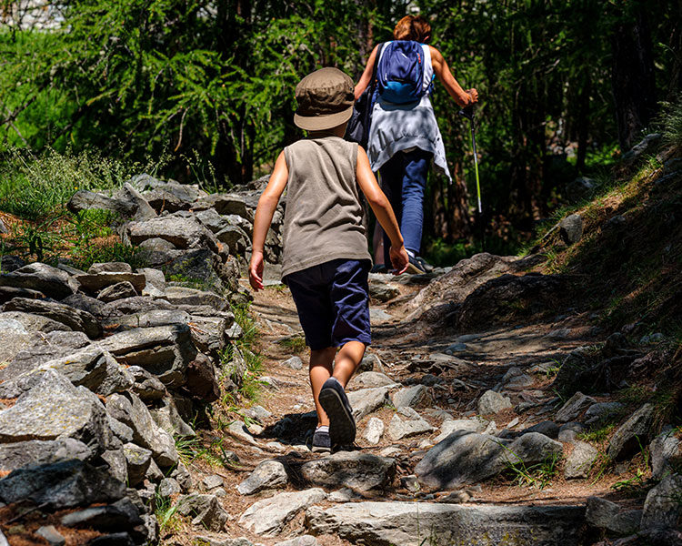 Image of two people hiking up a rocky path