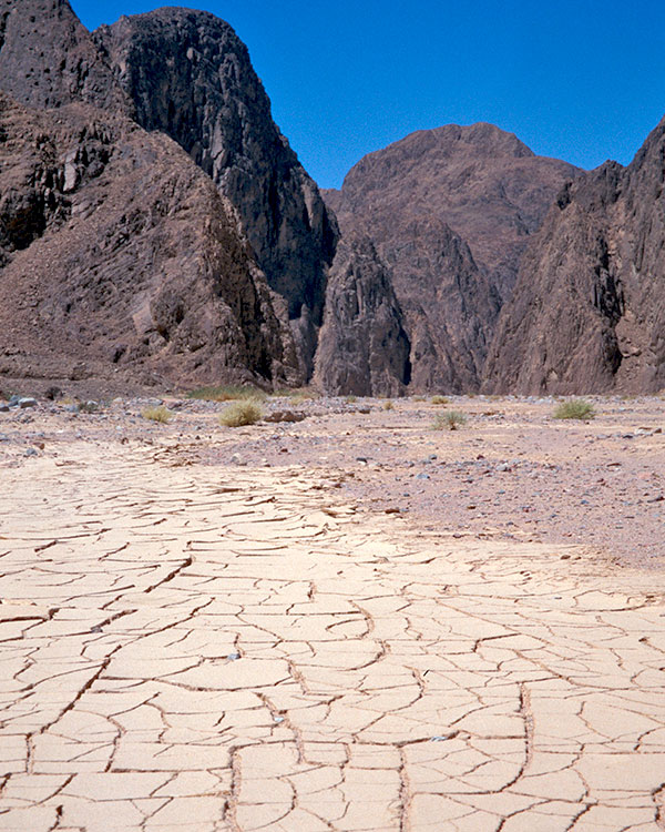 Photo of a dry landscape with a flaky dirt surface