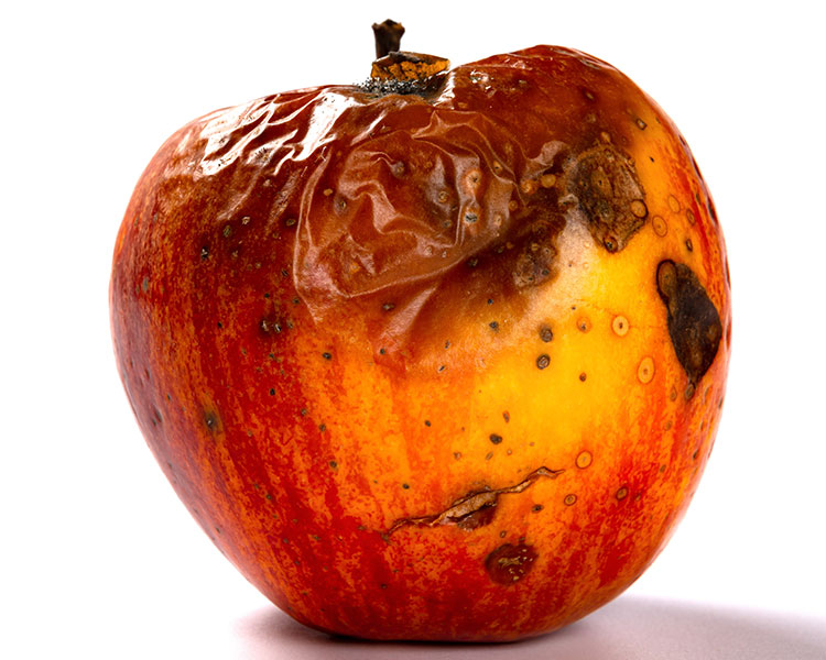 Image of a rotten apple