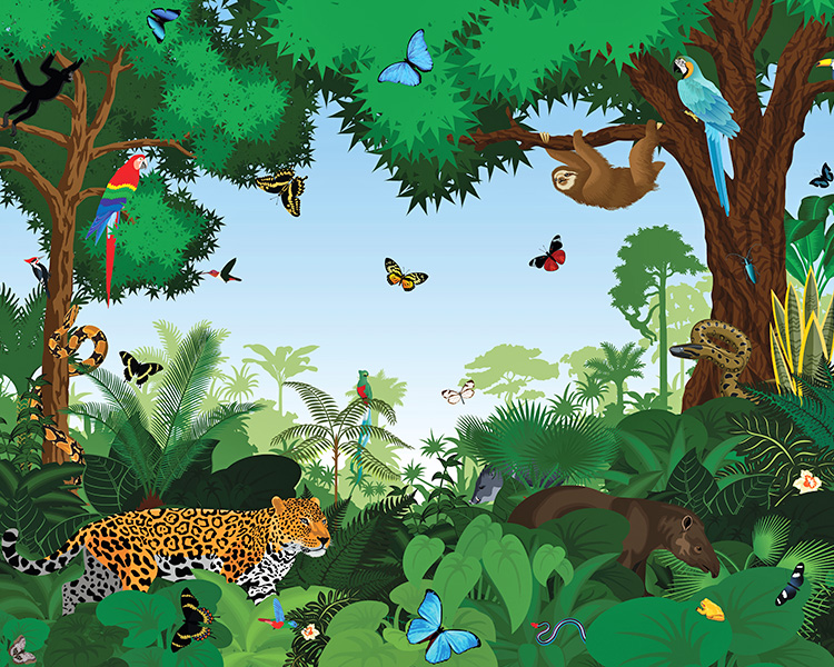 Illustration of different animals, birds, and insects in the jungle