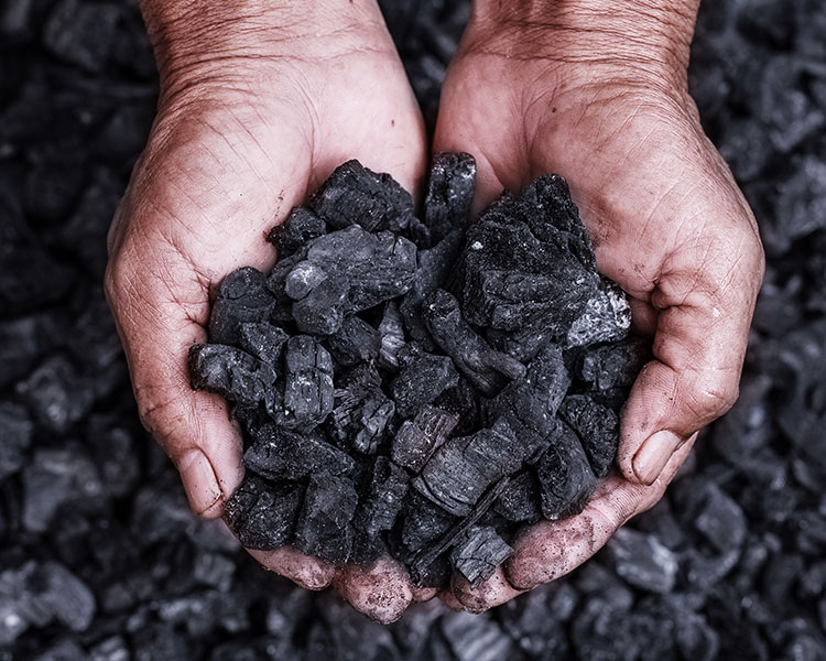 Image of two hands holding black fossil fuels