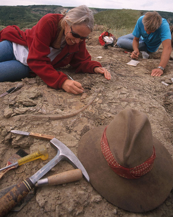 Image of scientists digging up bones at a site